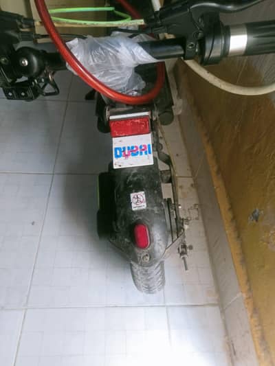Professional Driver 20 years Exp Need a JOB