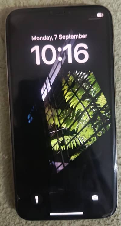 Apple iPhone X