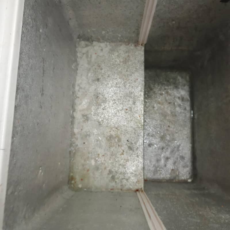 Deep Freezer 5