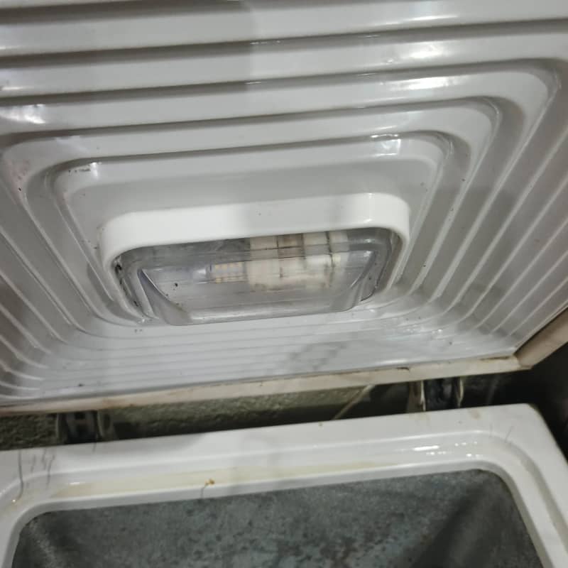 Deep Freezer 10