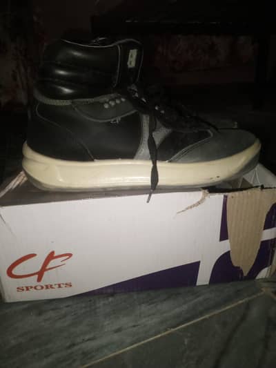 CF SPORTS
