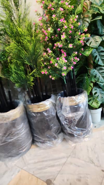 Plants , Pots , Planters , Bails , Leaves , Tree , Artificial Plants