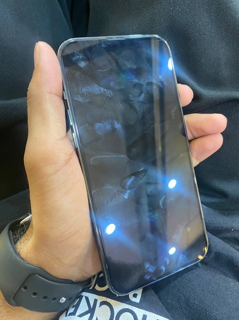 Apple iPhone 13 Pro Max 3