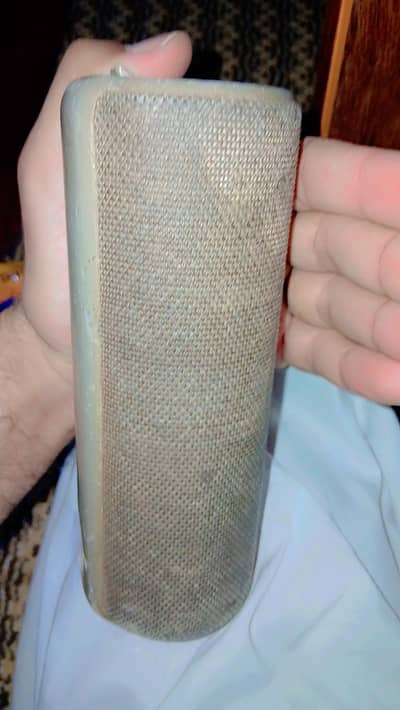 BT portable speaker