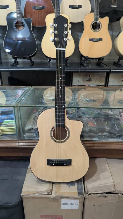 Acoustic Guitar limited time offer in discount