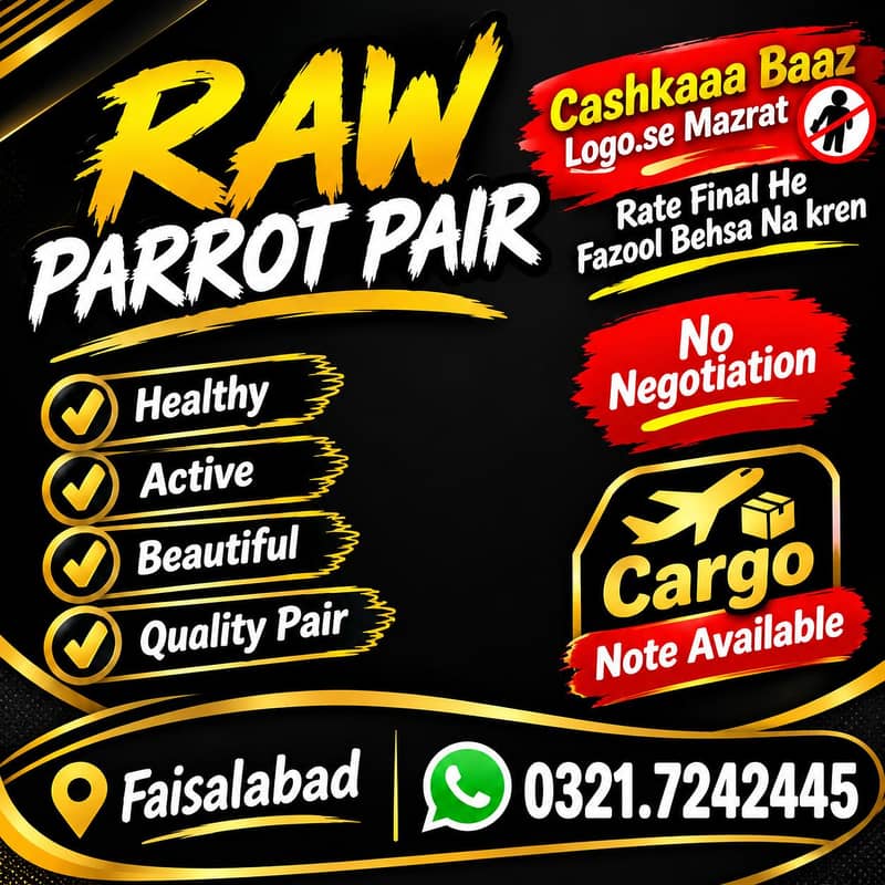 Beautiful Raw pair 1