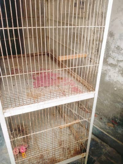 parrot cage for sale. four portion with trays and nest box window
