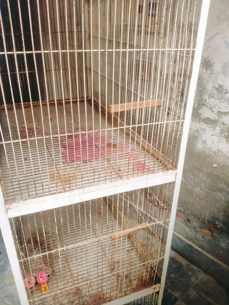 parrot cage for sale. four portion with trays and nest box window