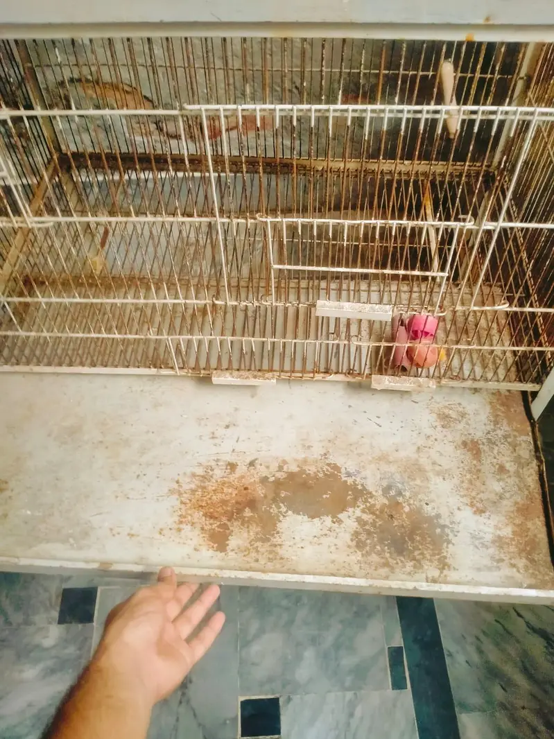 parrot cage for sale. four portion with trays and nest box window — photo 3