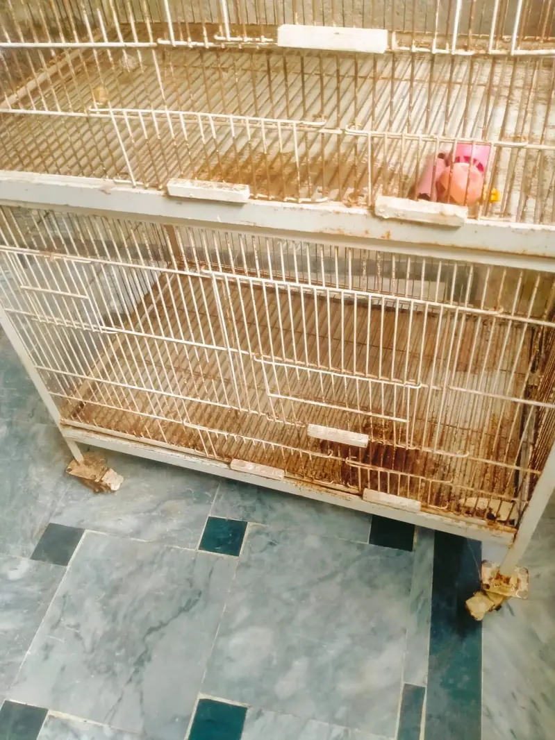 parrot cage for sale. four portion with trays and nest box window — photo 6