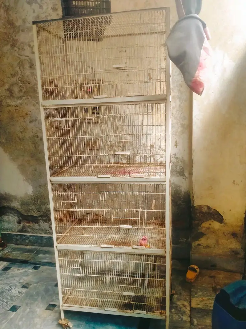 parrot cage for sale. four portion with trays and nest box window — photo 7