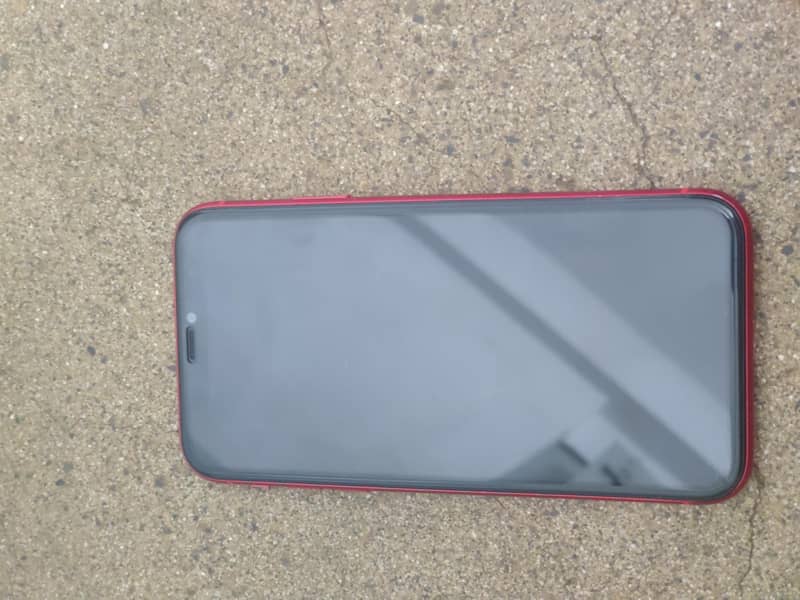 Apple iPhone 11 0