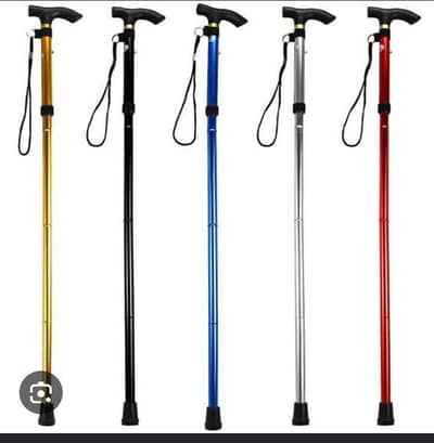 walking stick