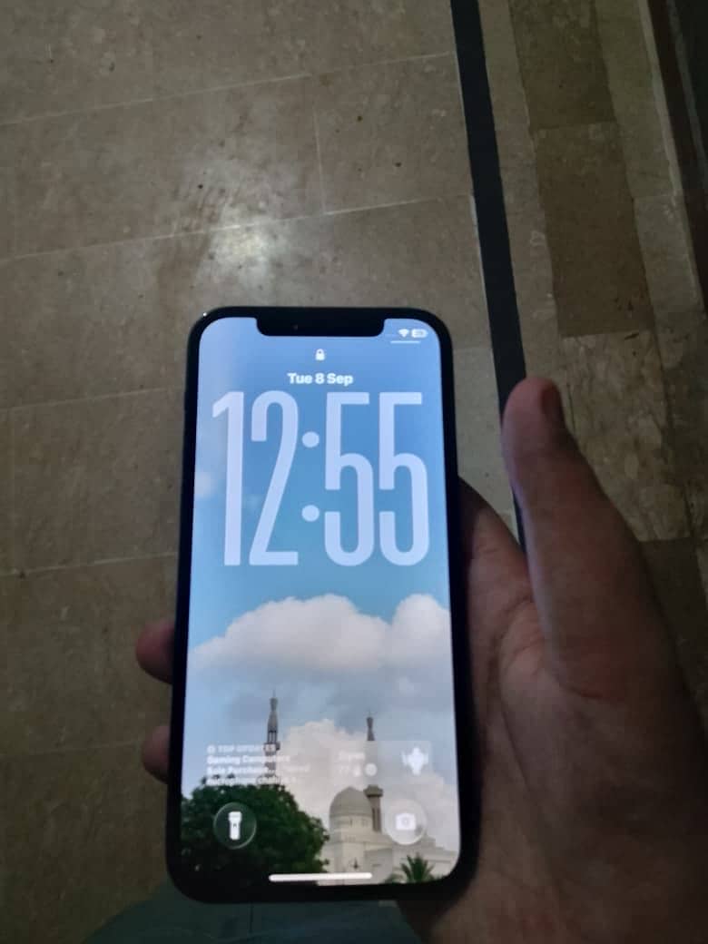Apple iPhone 12 Pro 9