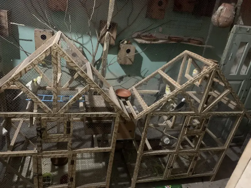 Pierre, good condition — photo 2