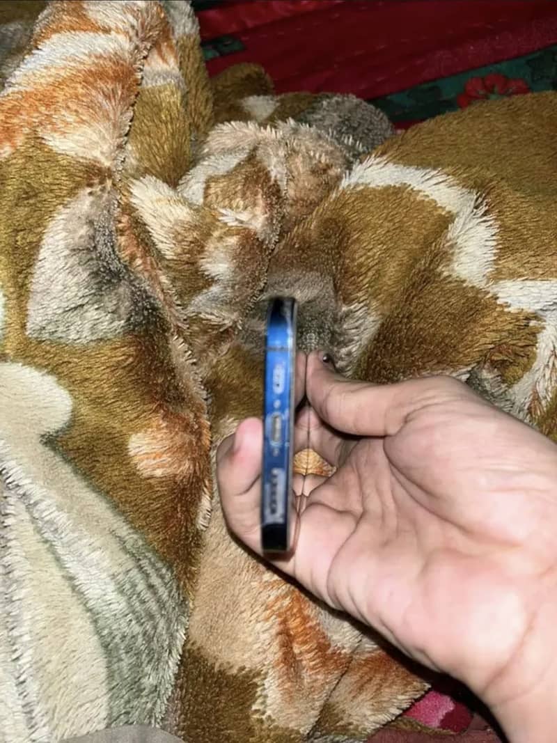 Apple iPhone 12 0