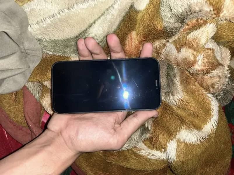 Apple iPhone 12 2
