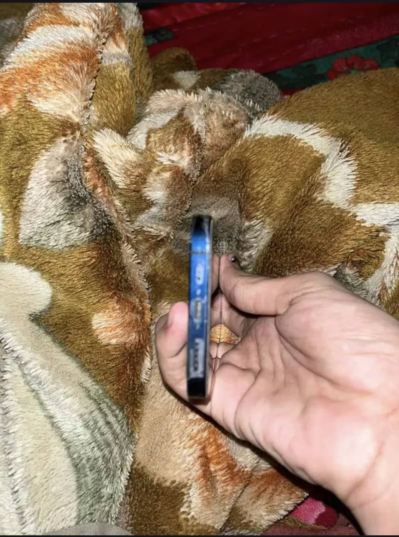 Apple iPhone 12 4