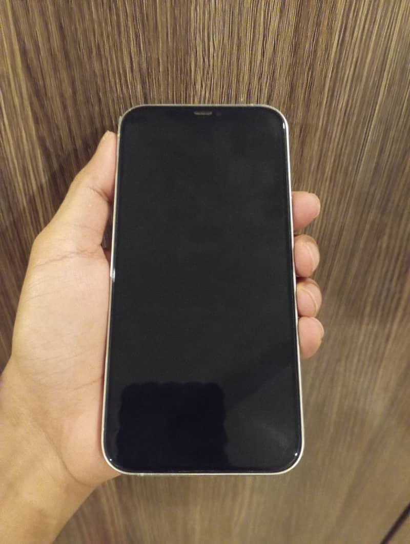 Apple iPhone 12 Pro Max 1