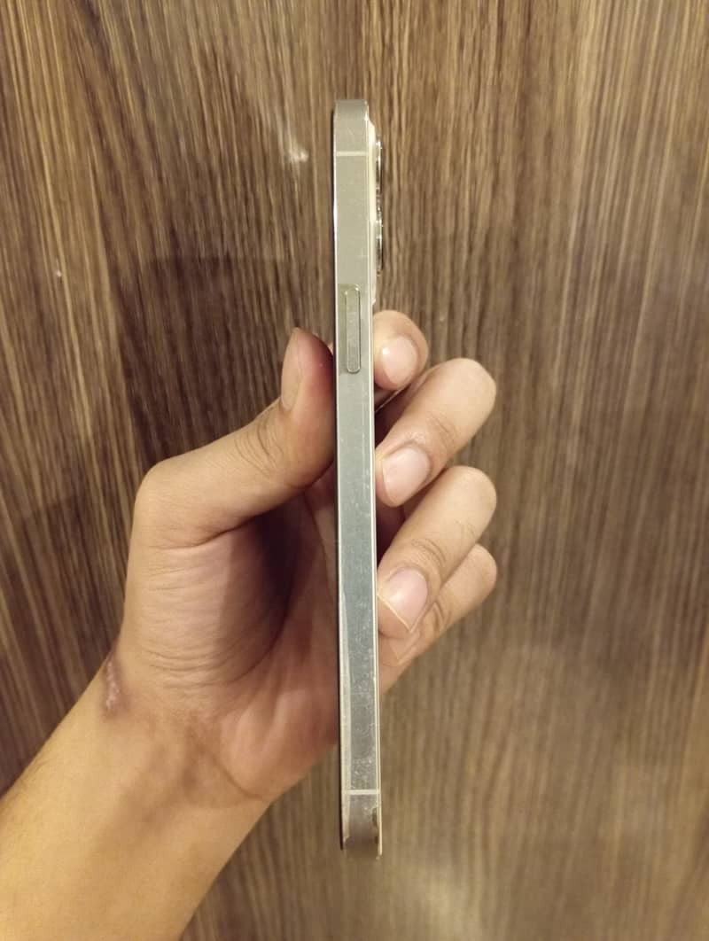 Apple iPhone 12 Pro Max 5