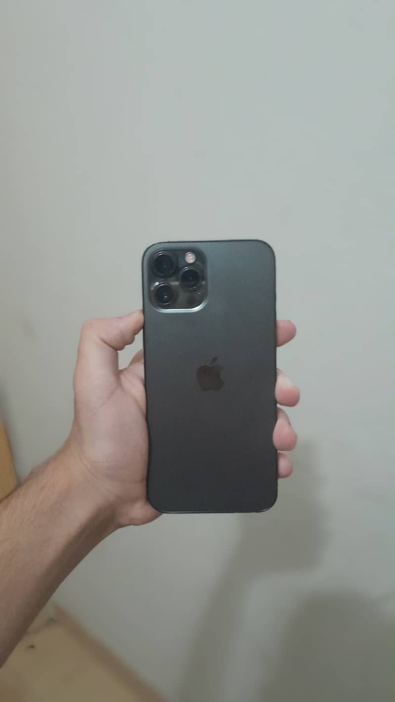 12 pro max 1