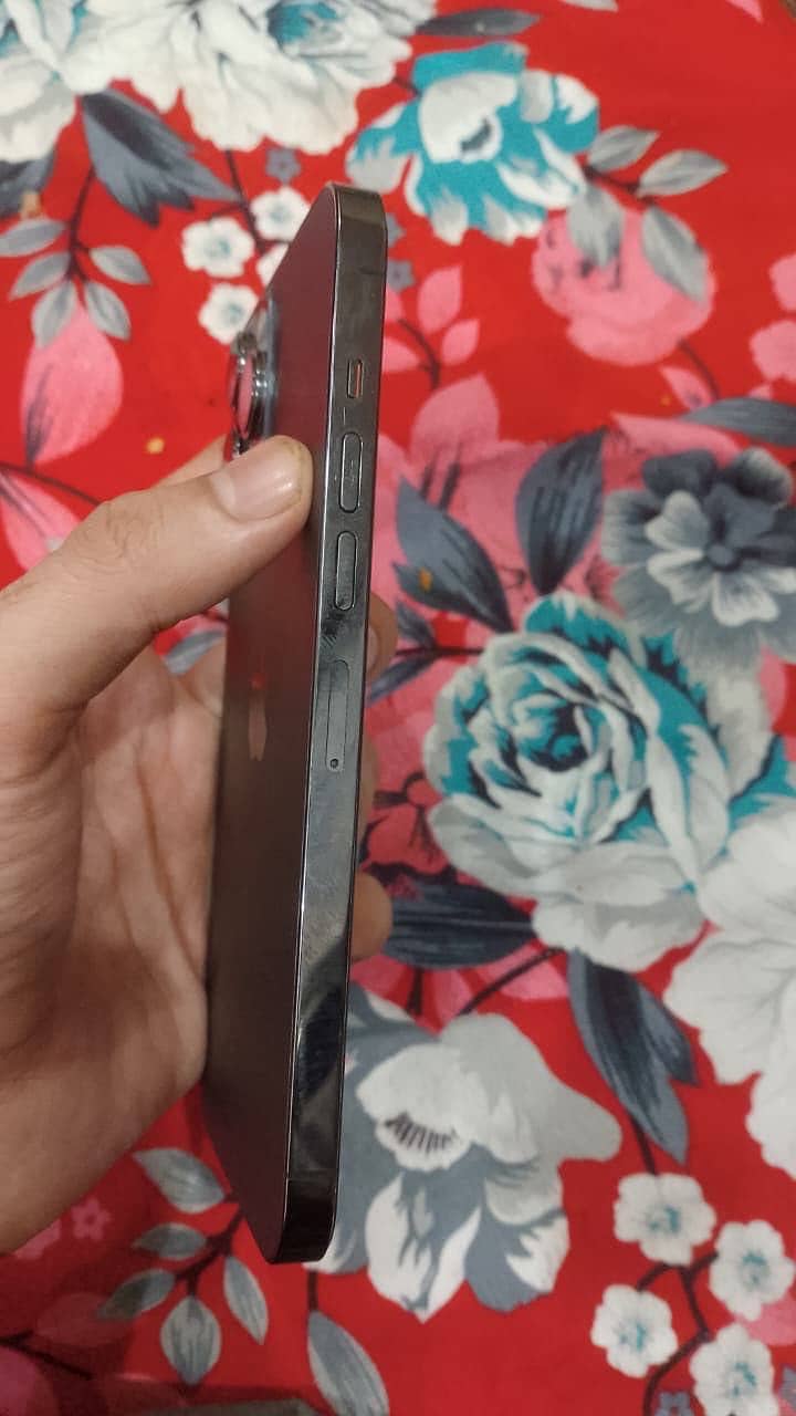 Apple iPhone 13 Pro Max 1