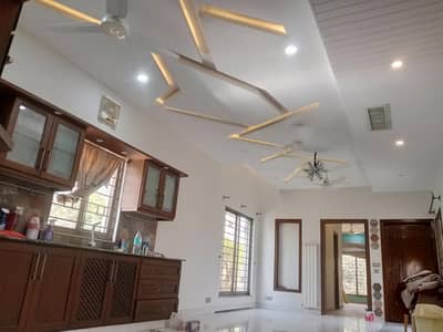 25y Experienced Painter