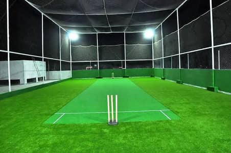Cricket Net /Artificial grass