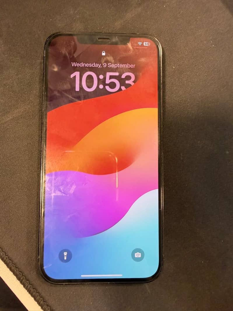 Apple iPhone 12 Pro Max 5