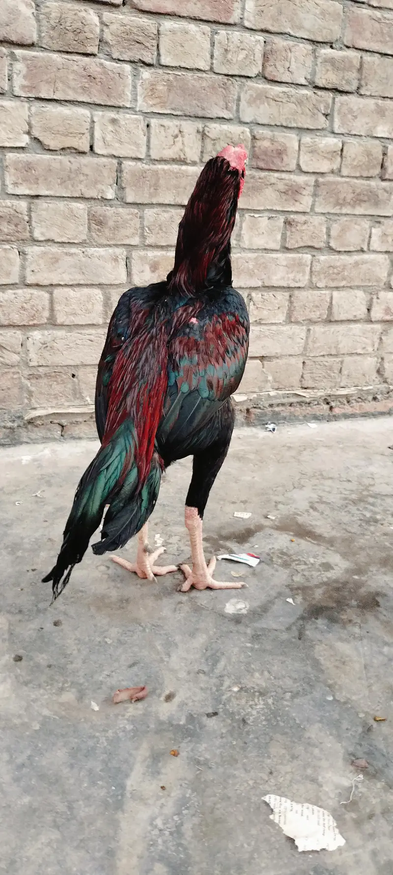 ye bhot achi blade lean se he — photo 4