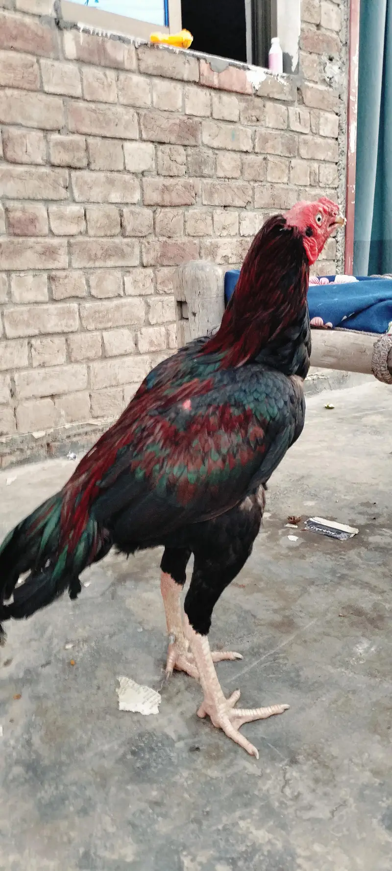 ye bhot achi blade lean se he — photo 5