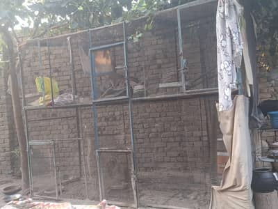 iron cage