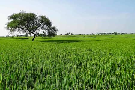 Industrial land available for sale