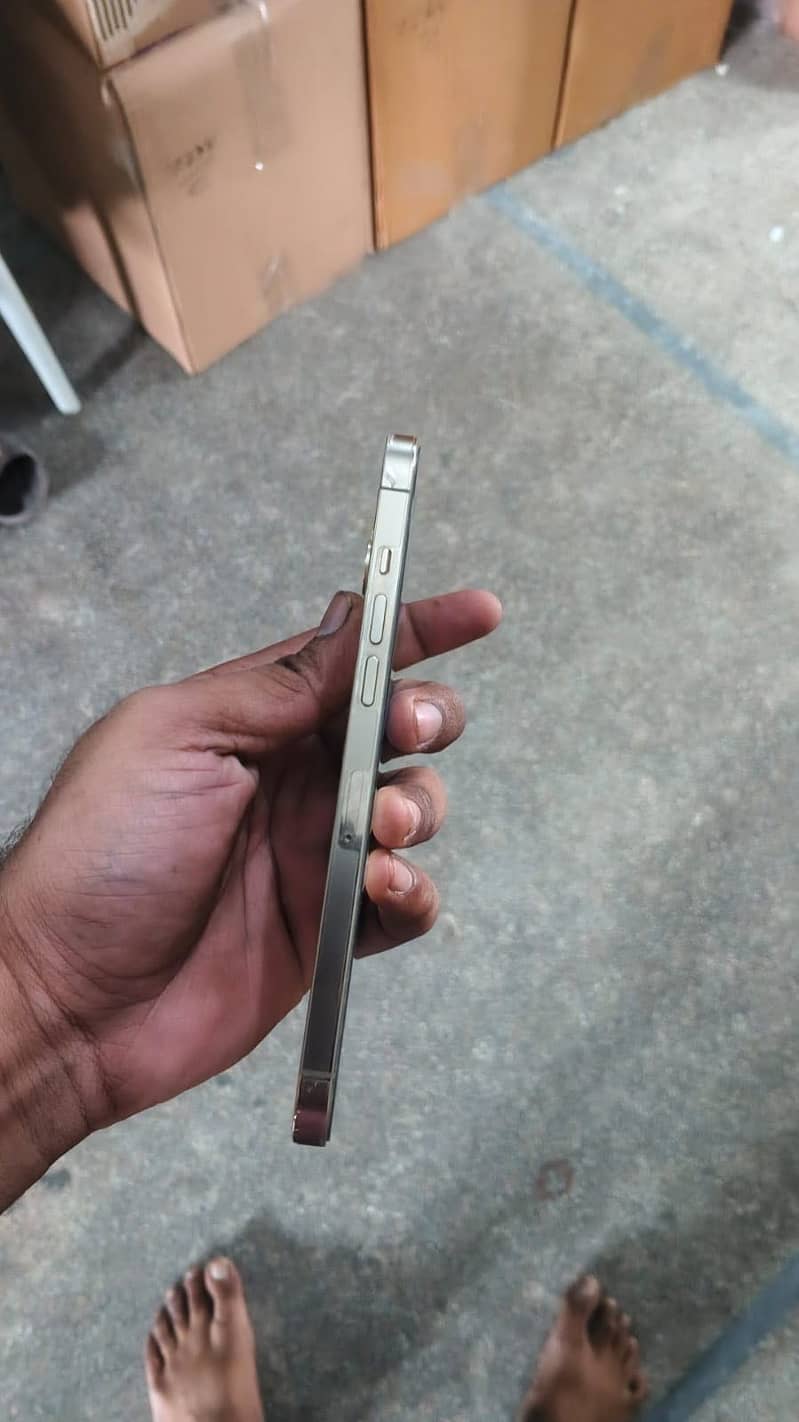 Apple iPhone 12 Pro Max 1