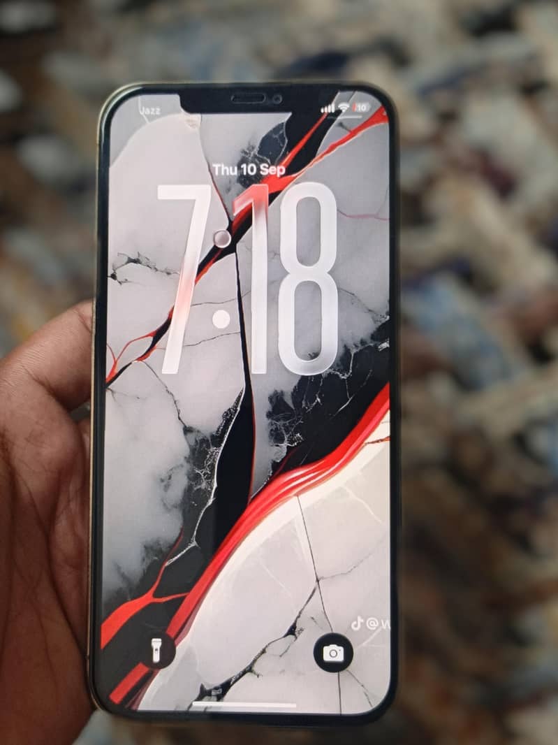 Apple iPhone 12 Pro Max 0