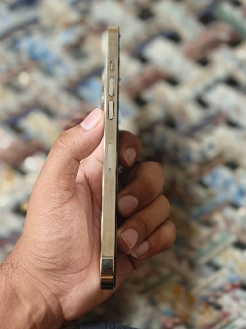 Apple iPhone 12 Pro Max 4