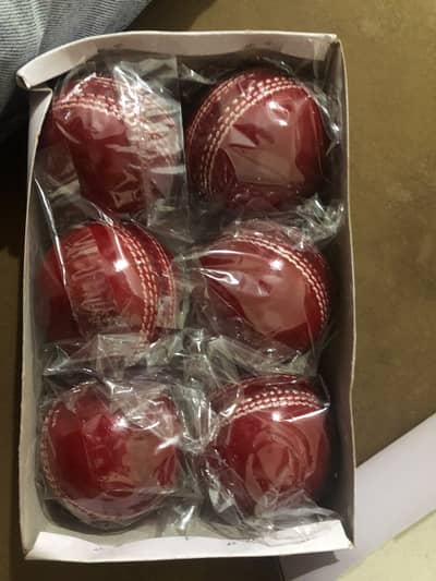 Cricket Hardballs