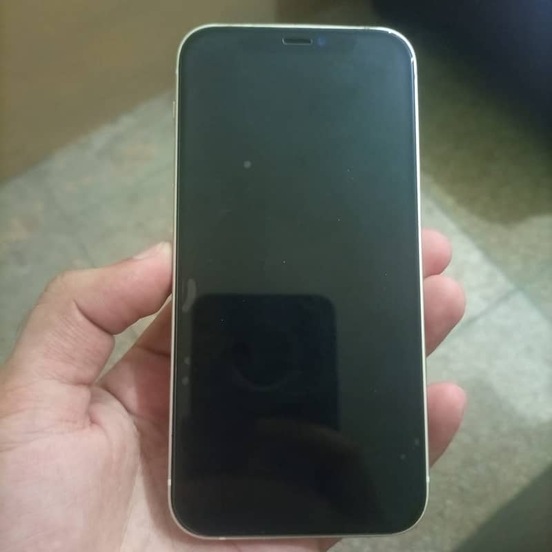 Apple iPhone 12 1