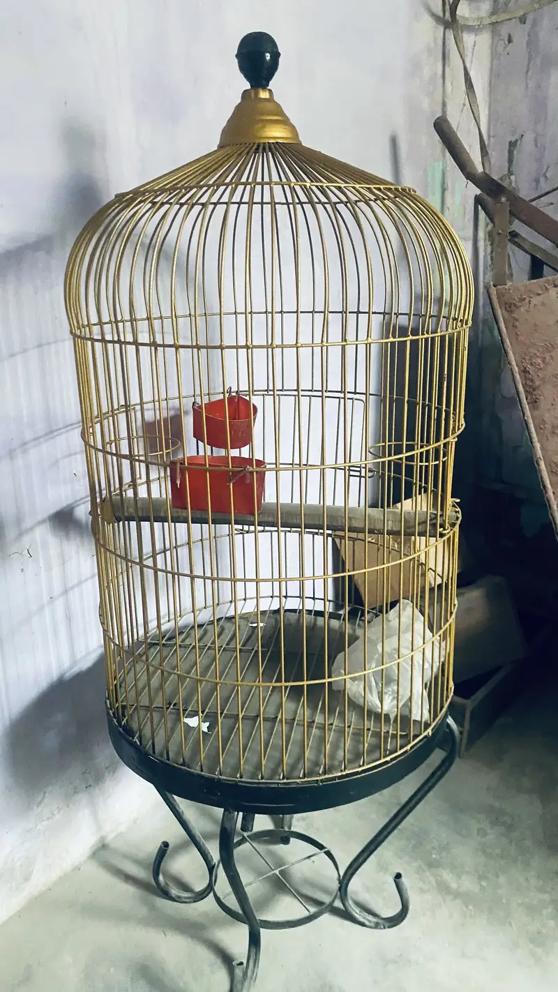 Grey parrot cage — photo 2