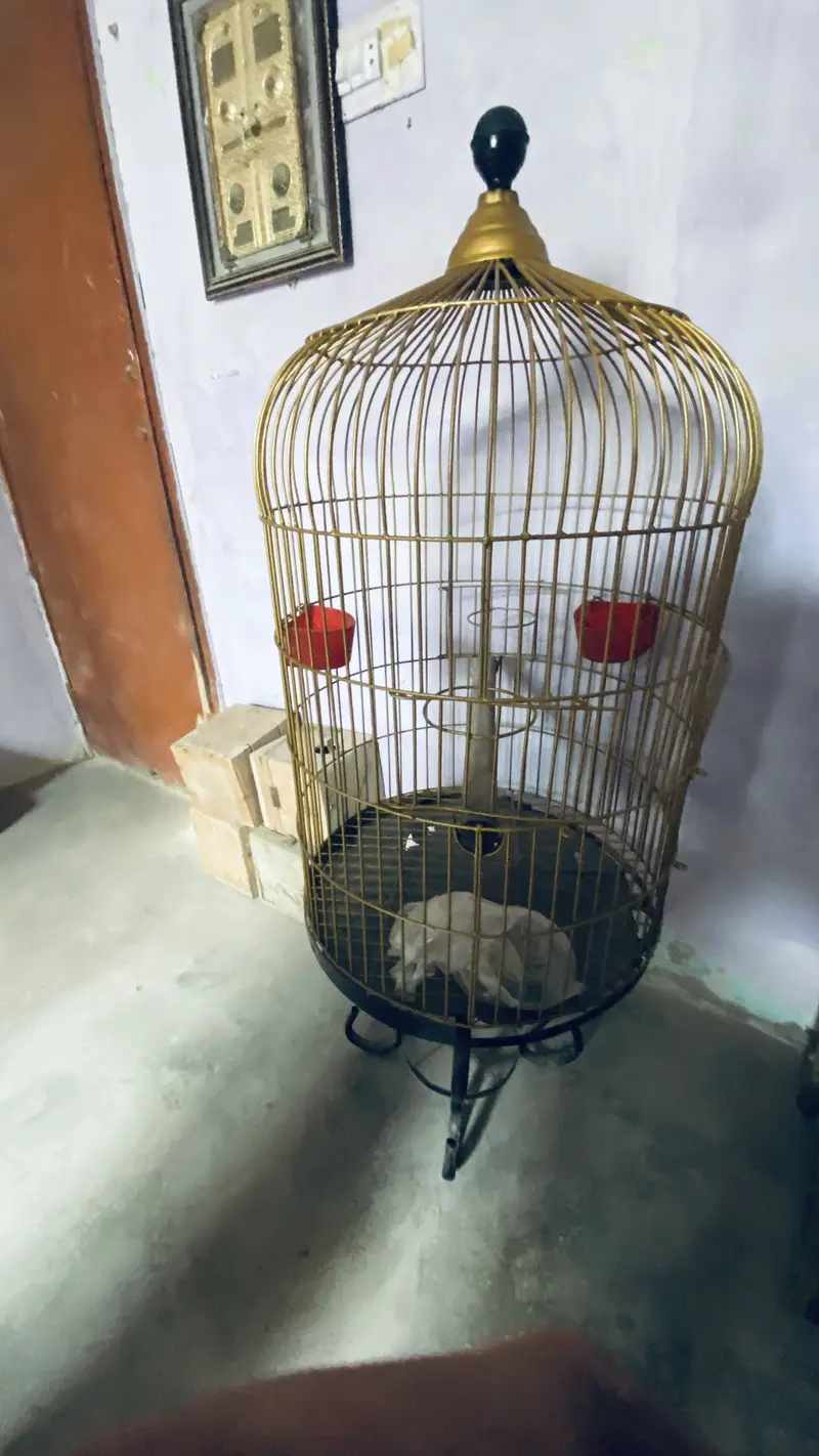 Grey parrot cage — photo 3