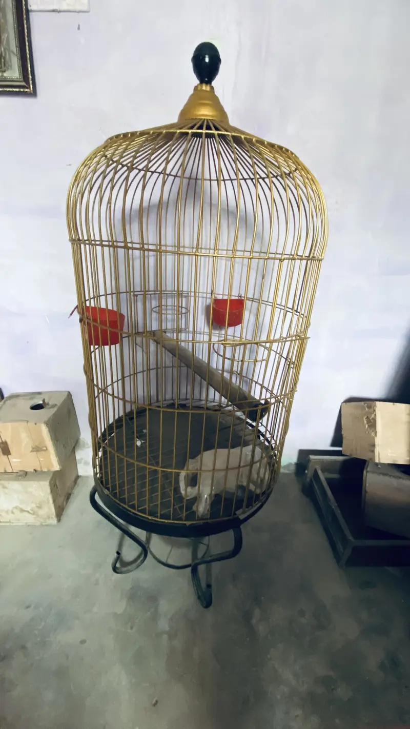 Grey parrot cage — photo 7