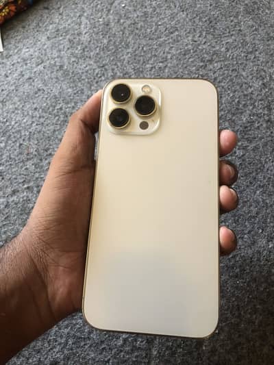 Apple iPhone 13 Pro Max