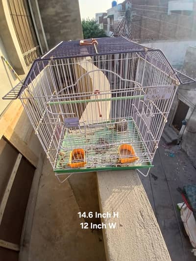 bird cage