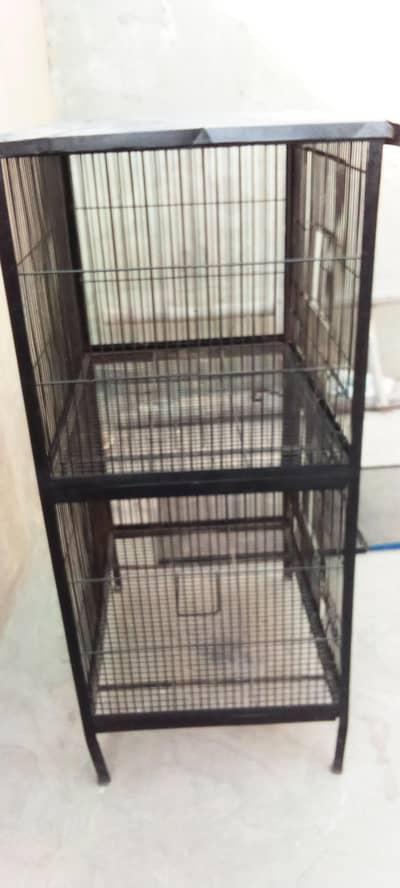 cage or cocktail breeder sail