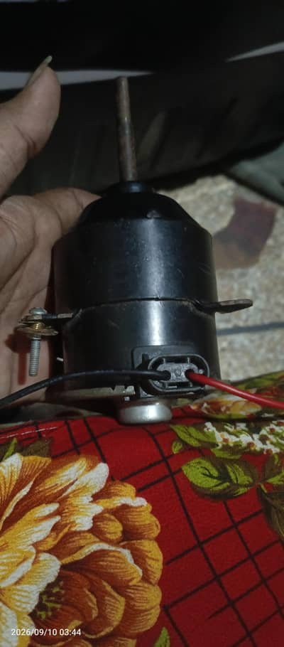 baleeno motor