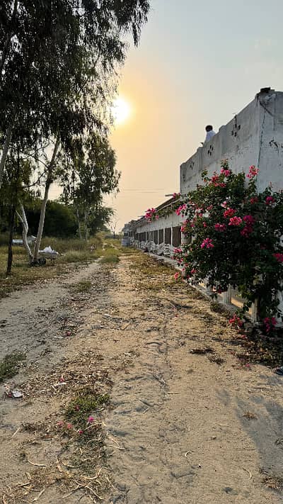 130 kanal prime land in kalar kahar chakwal