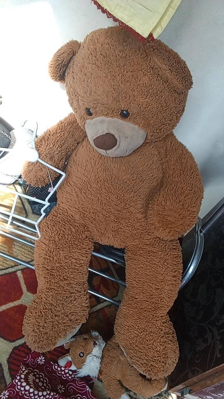 tady bear 0