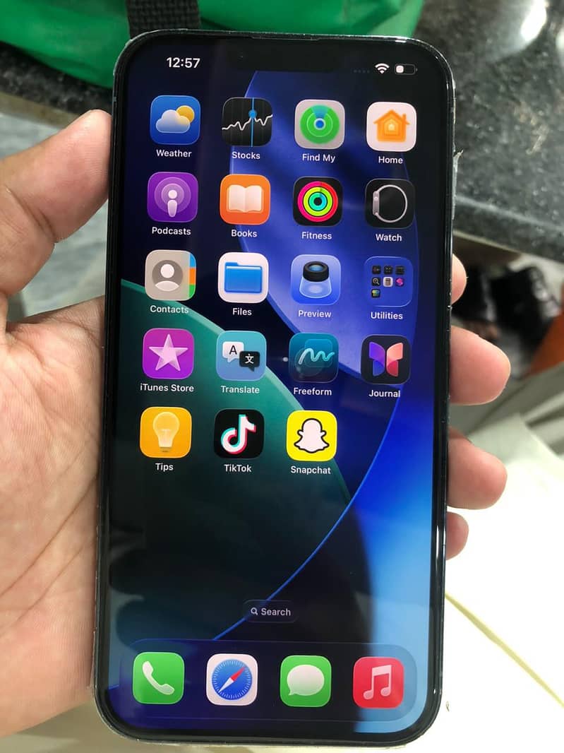 Apple iPhone 13 Pro Max 1