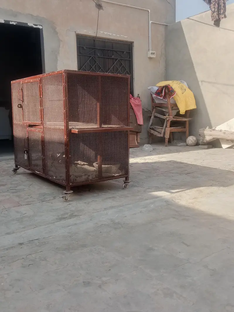 cage for sale okay