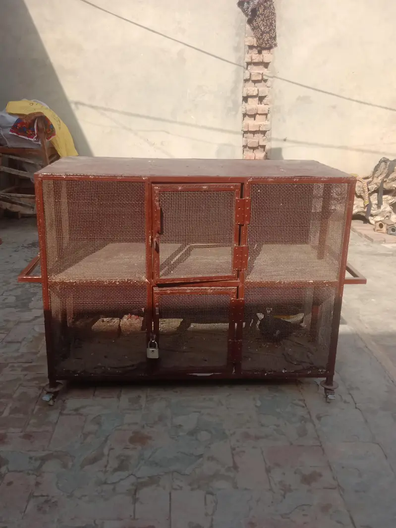 cage for sale okay — photo 4